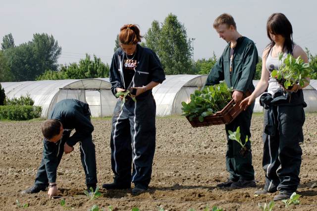 horticulture