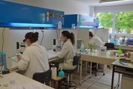 laboratoire