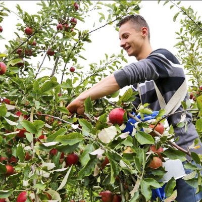 BTS Métiers du Végétal : alimentation, ornement et environnement