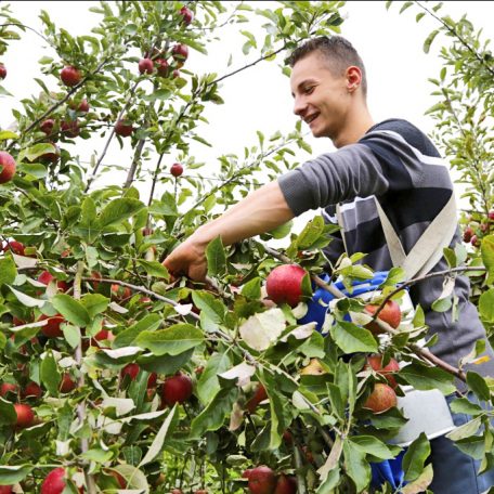 Agriculture biologique: formation en BTS horticulture Institut de Genech 15/10/2014