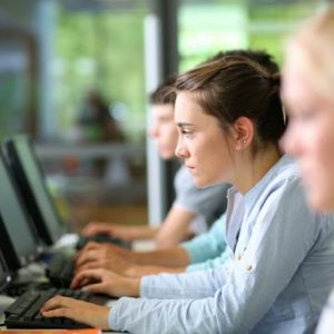 cs collaborateur du concepteur paysagiste