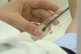 Laboratoire