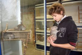 animalerie