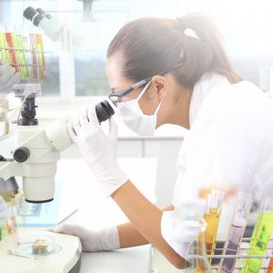 Licence pro Biotech. végétales et création variétale (altern.)