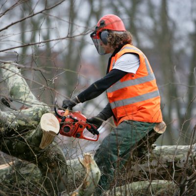 CAPa <br>Travaux Forestiers<br>(Apprentissage)