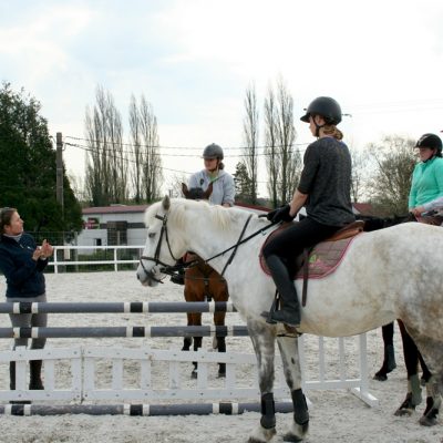 AE <br>Animateur Équitation (alternance)