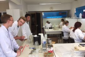 laboratoire in-vitro