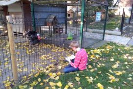 Atelier Arts plastiques à la ferme pédagogique