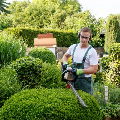 POEC Jardinier Paysagiste