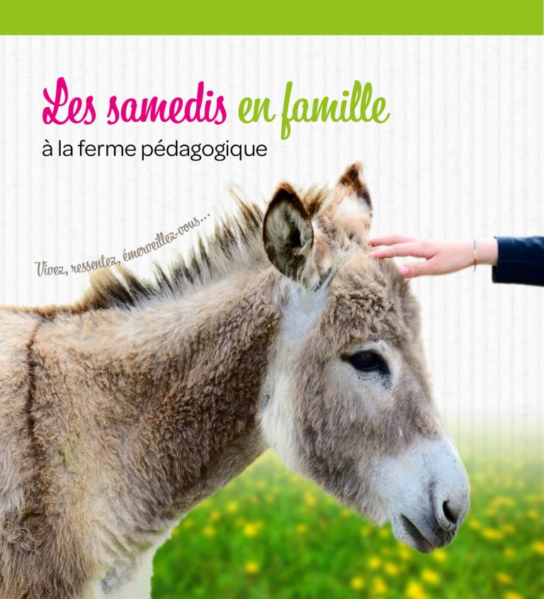 Accueil ferme pédagogique