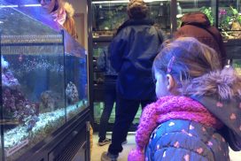Animalerie