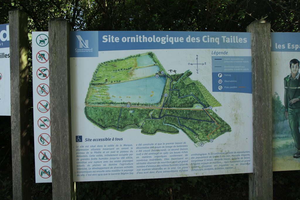 Site ornithologique des cinq tailles
