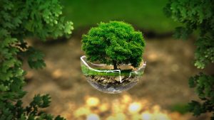 Green Project ateliers