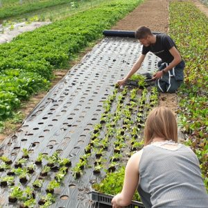 BTS Production horticole en 1 an