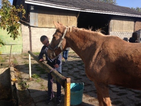 S’ouvrir au monde du cheval