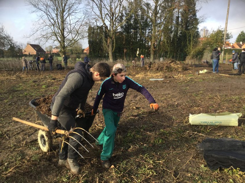 Chantier de plantation