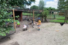 Ferme-pedagogique_8727