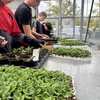 Bac Pro Conduite de Productions Horticoles