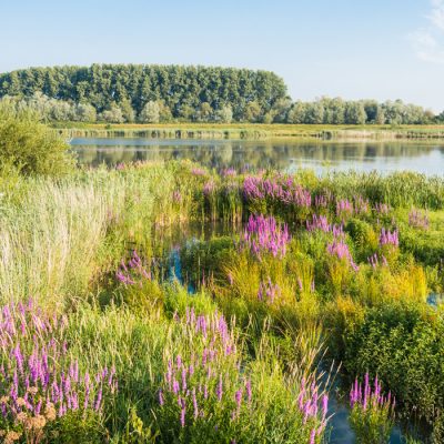 Titre Pro Ouvrier du Génie Ecologique – Adulte