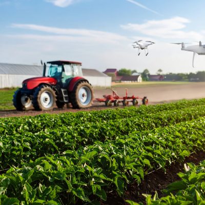 Bachelor Agro mention Génie Agronomique et transitions (Apprentissage)