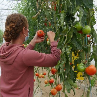 BTS Production horticole en 1 an