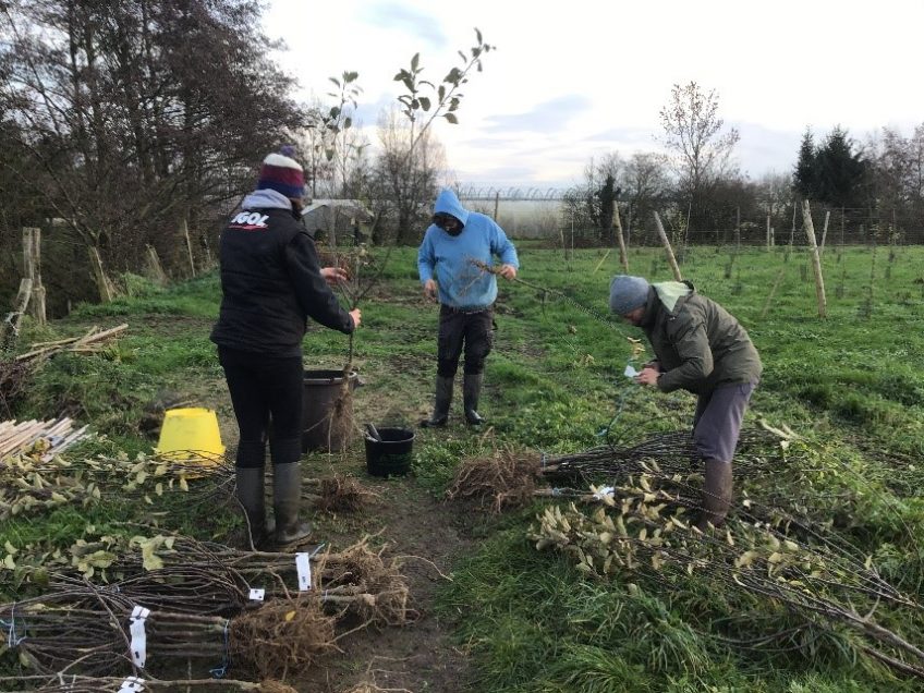 Atelier Plantation