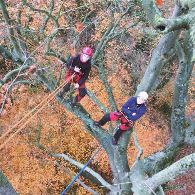 Grimper, se déplacer et travailler en sécurité dans l’arbre