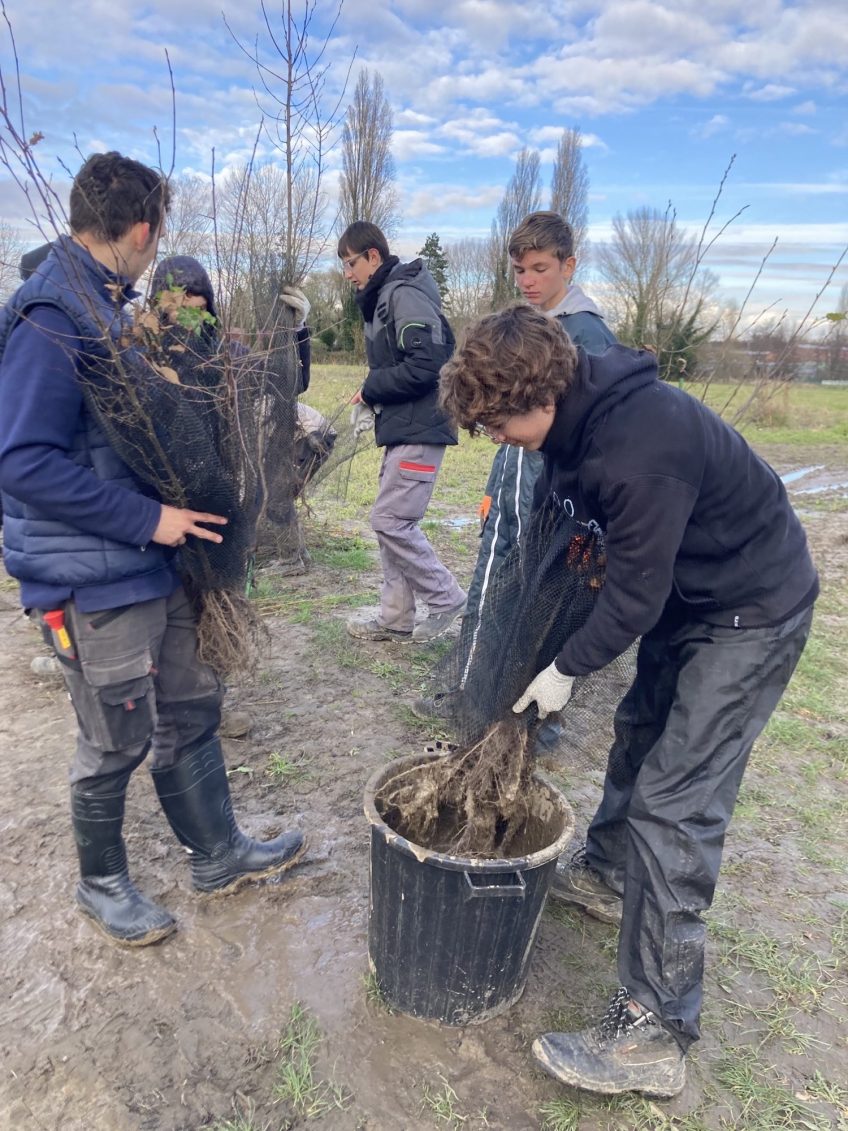 Plantation de haies sur le site de Genech