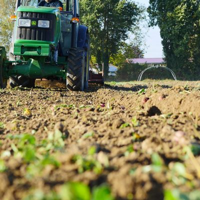 CAPa Métiers de l’Agriculture (scolaire) – Parcours « Grandes cultures » – Module complémentaire « Élevage ruminants »