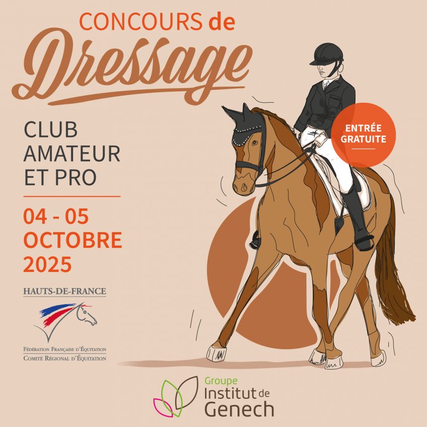Concours de dressage 2025