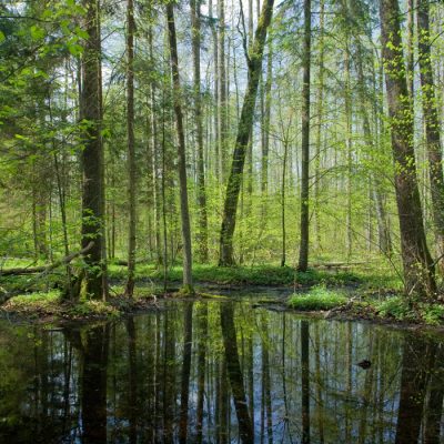 CS Travaux mécanisés en Génie Ecologique – Alternance