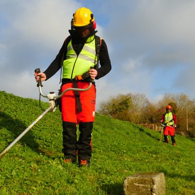 CAP Jardinier Paysagiste (Formation Continue)