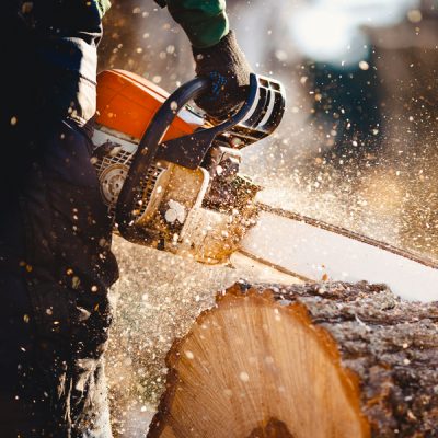 Utilisation de la tronçonneuse en toute sécurité (niveau 1)